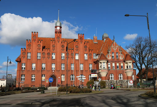 St&ouml;rche im Schnee