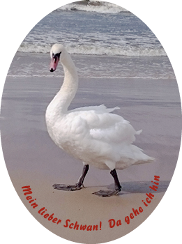 Mein lieber Schwan! Da gehe ich hin