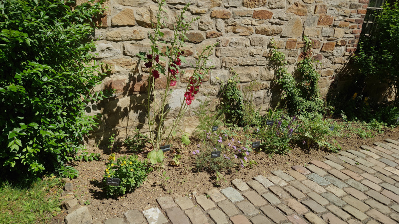 Leben auf dem Geländer der Zeche Nachtigall