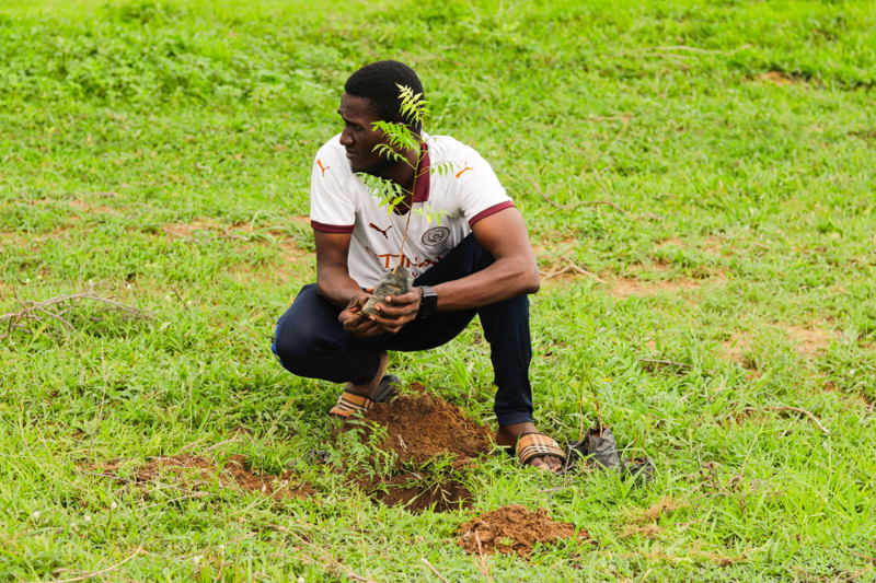 Baumpflanzaktion, ein Bäumchen